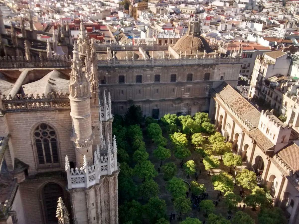 Apartamento céntrico Plaza del Salvador Siviglia Esterno foto
